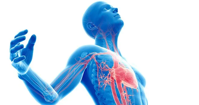 Health and fitness of heart