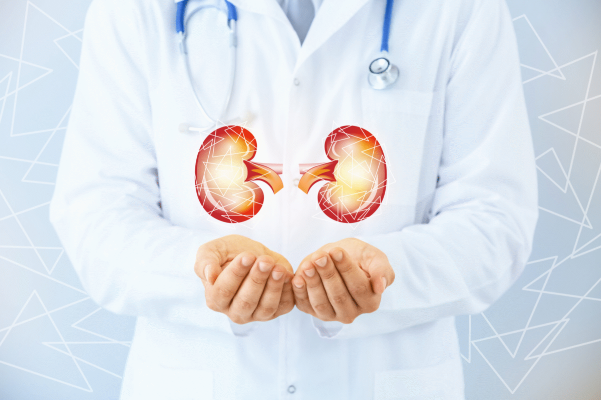 7 Superfoods That Support Kidney Health and Fitness