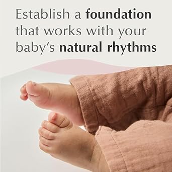 516nMjZPiRL. SY342 1