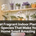 Best Fragrant Indoor Plants: 10 Species That Make Your Home Smell Amazing