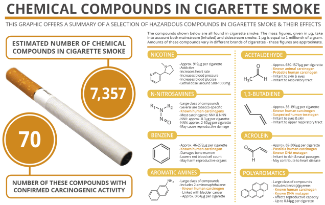 Harmful Health Effects of Cigarette Smoking: Risks, Diseases, and Long-Term Impacts cigarette smoking effect